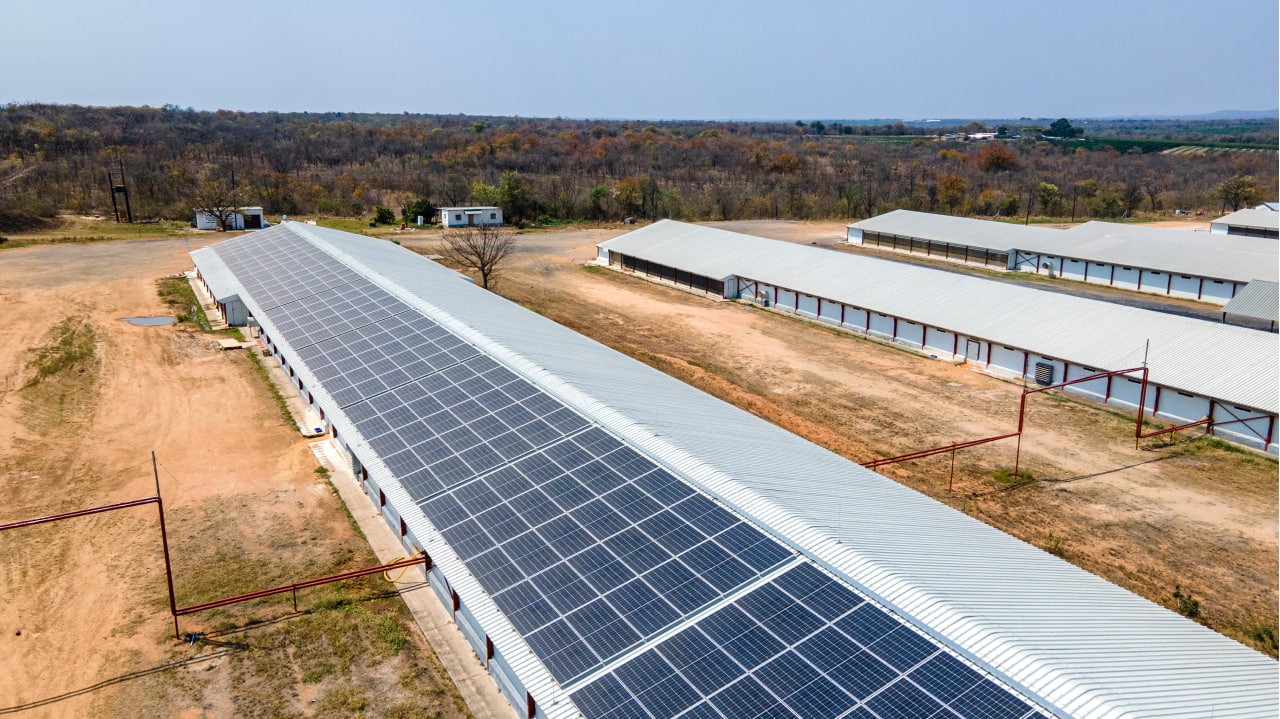 Commercial poultry farm rooftop solar array